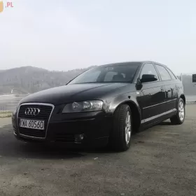 Audi a3 2.0 TDI 2004  Skóra