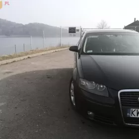 Audi a3 2.0 TDI 2004  Skóra