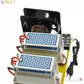 OZONATOR GENERATOR OZONU WYDAJNY 20g/h POLSKA
