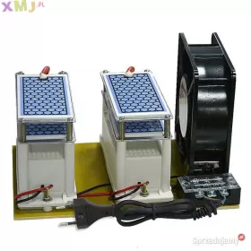 OZONATOR GENERATOR OZONU WYDAJNY 20g/h POLSKA