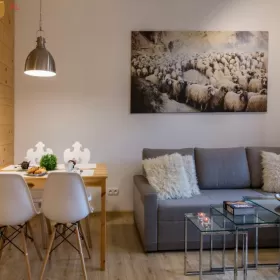 Apartament Owczarnia - Zakopane Centrum, blisko Skoczni