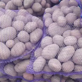 ziemniaki 15 kg transport gratis