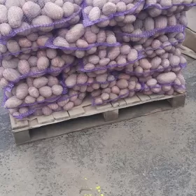 ziemniaki 15 kg transport gratis